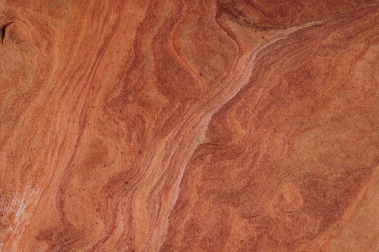 Natural Organic Matter : Le Mystère Caché Qui Transforme Votre Eau et Votre Planète